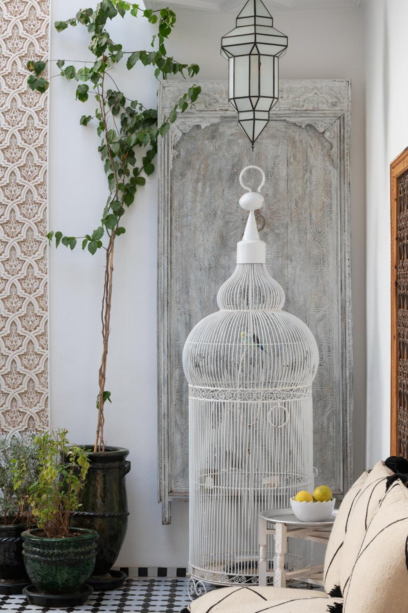 Riad Botanica มาร์ราเกช ภายนอก รูปภาพ